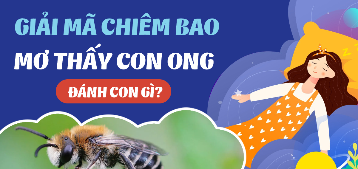 Sổ mơ thấy ong